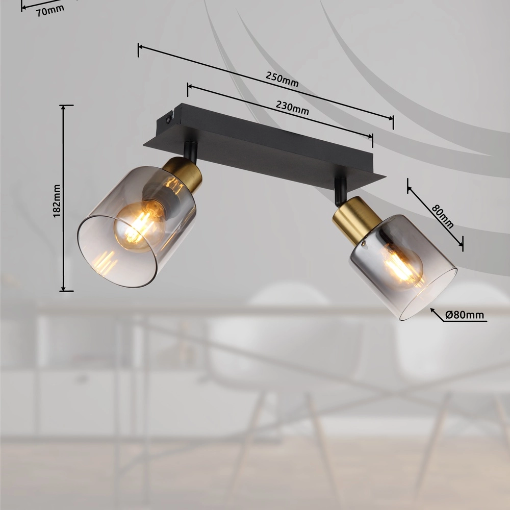 Lampe de plafond à deux lumières Hollsy noir avec verre fumé Globo 9007371445851
