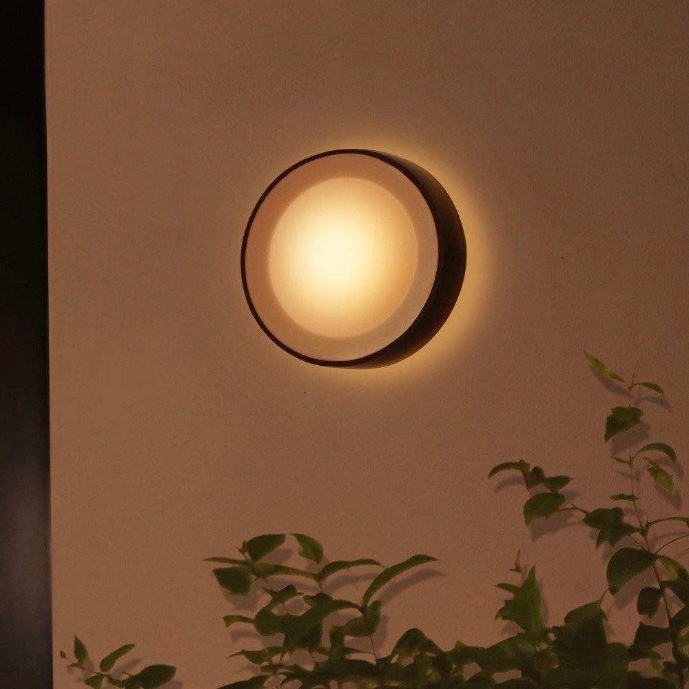 Lampe d'extérieur ronde Hue Daylo noir Philips 8718696174401