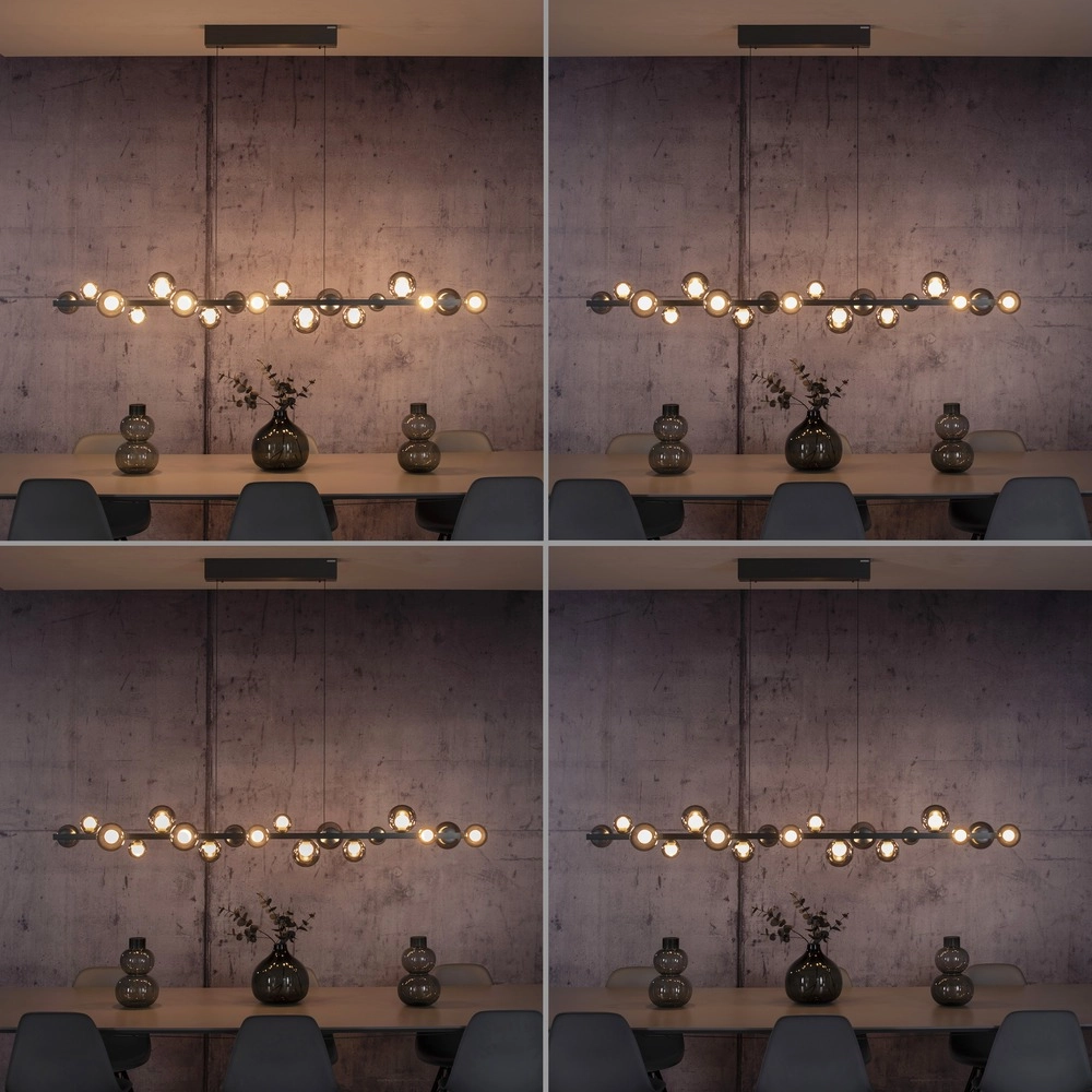 Lampe pendante de table à manger Pure E-Popup 18L - avec verre fumé Paul Neuhaus 4012248396452