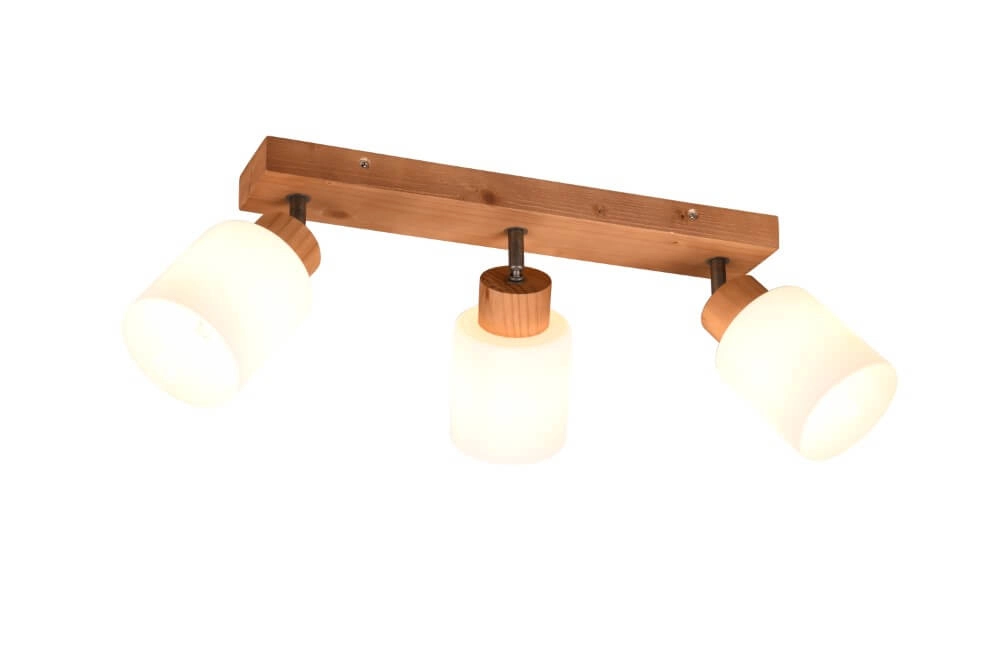 Spot de plafond rural Assam 3 lumières Trio 4017807539813