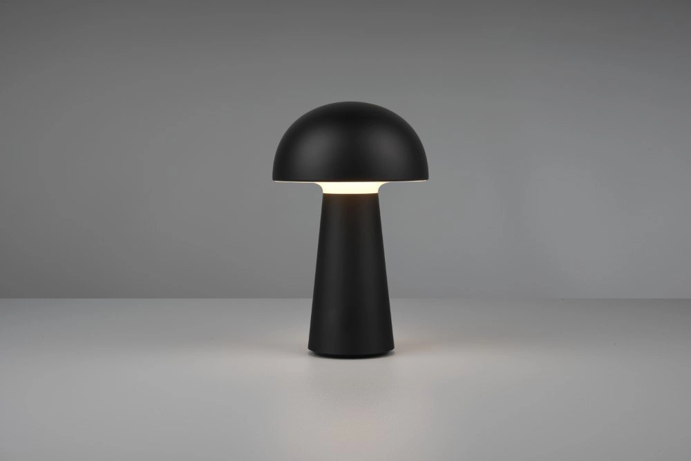 Lampe de table de jardin Lennon rechargeable noir Trio 4017807496338