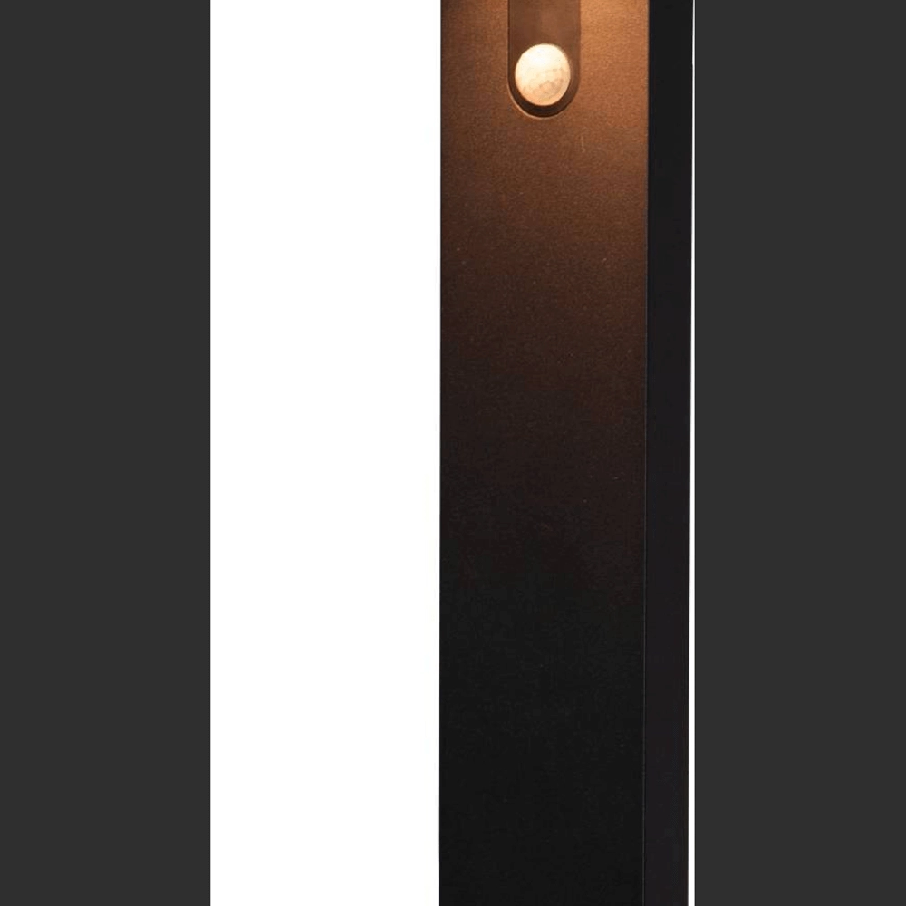 Lampe de chemin solaire Baracconi avec capteur Eglo 9008606230013