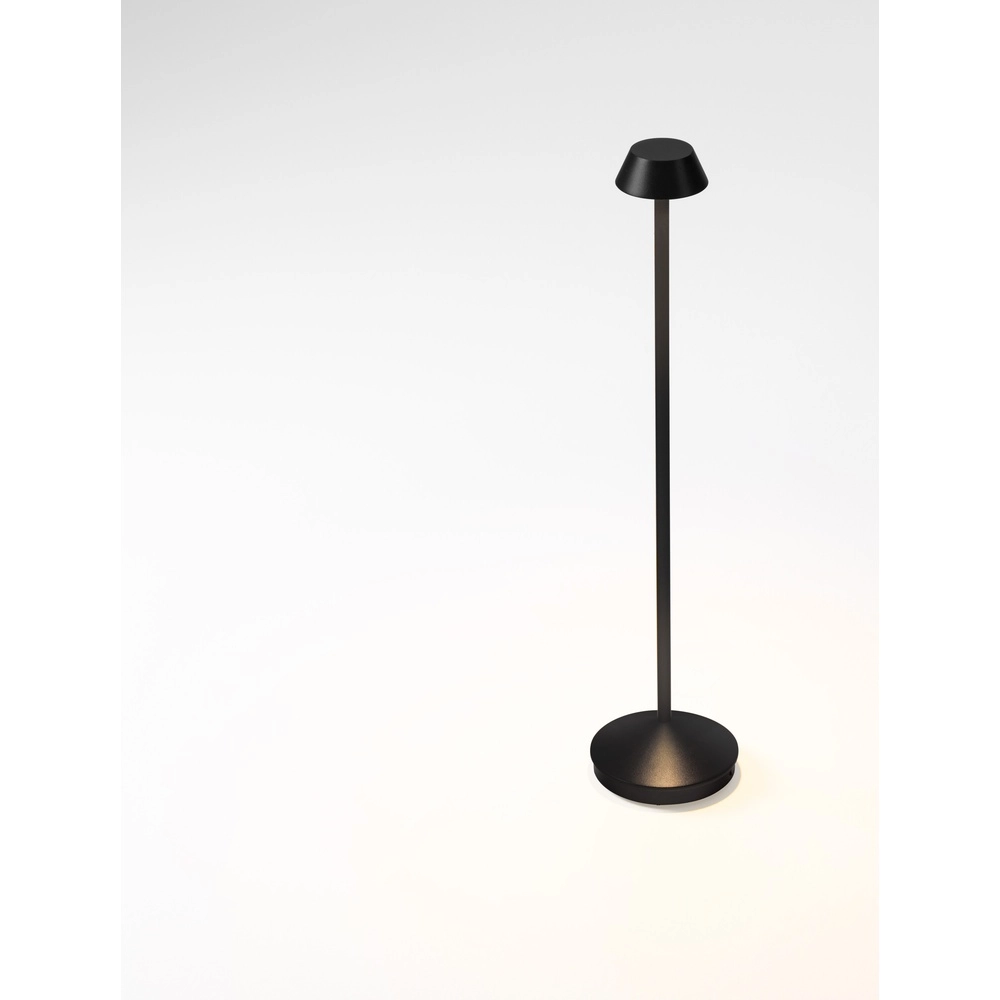 Lampe de jardin Arion anthracite