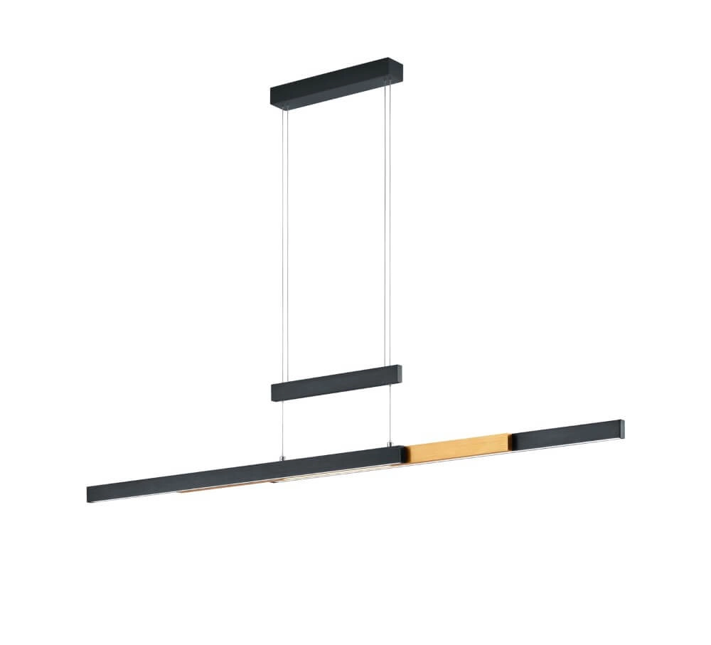Lampe suspendue Trajan noir Trio 4017807504446