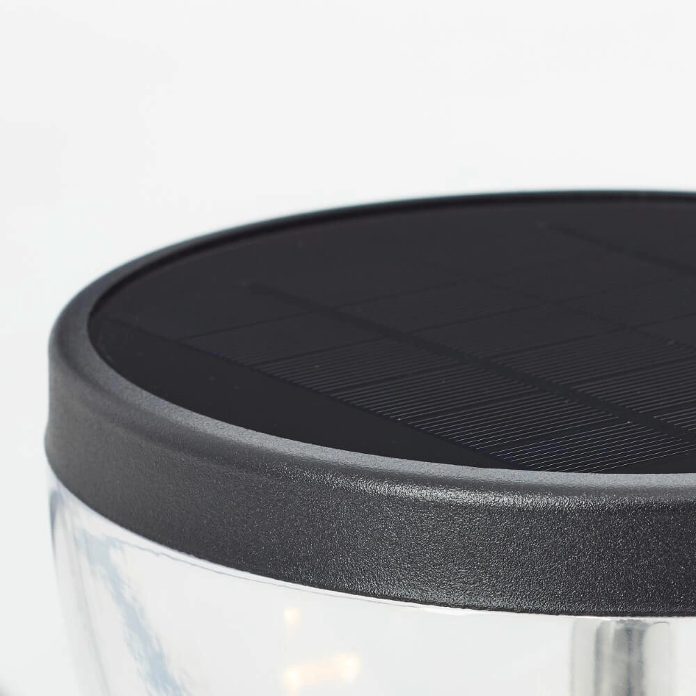 Lampe sur pied Tulip noir avec capteur Brilliant 4004353437762