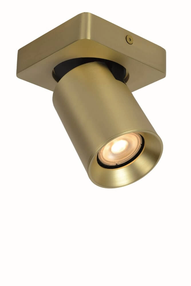 Spot orientable en saillie Megano or