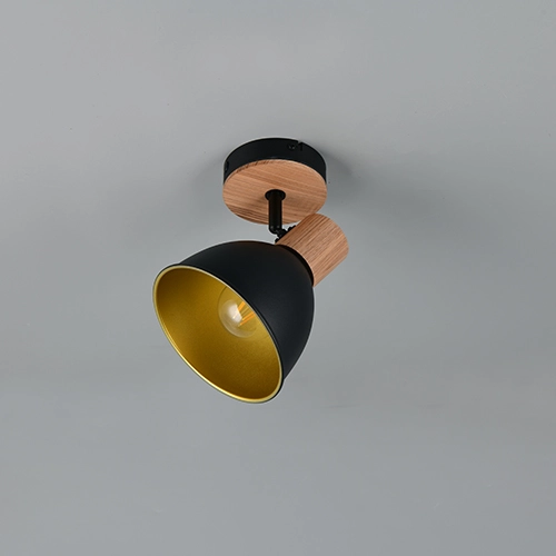 Lampe de plafond Delume Noir simple Trio 4017807672237