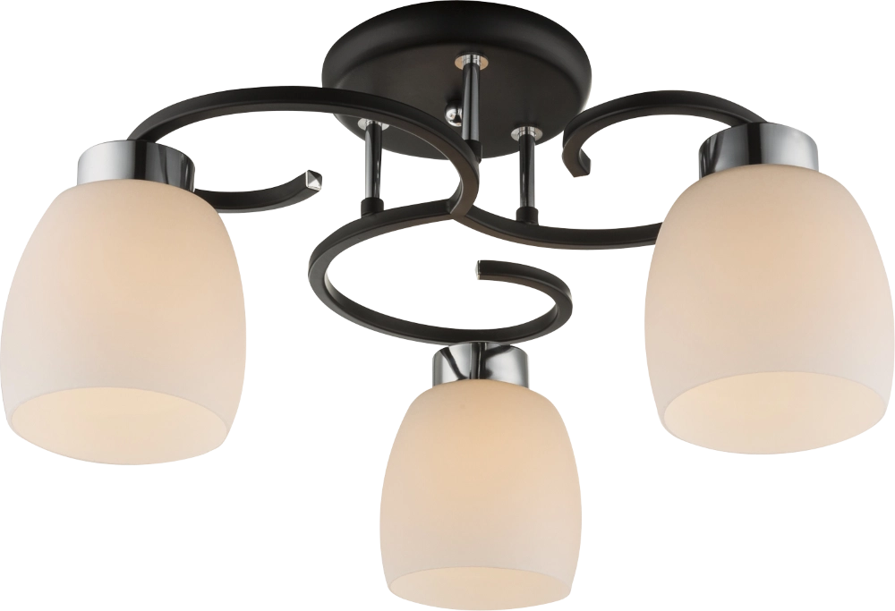 Lampe de plafond Pessoa Iv Noir