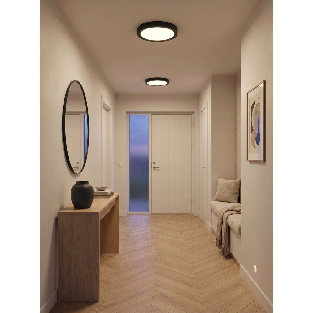 Lampe de plafond Laru Ø 28,9 cm noir Trio 4017807711547