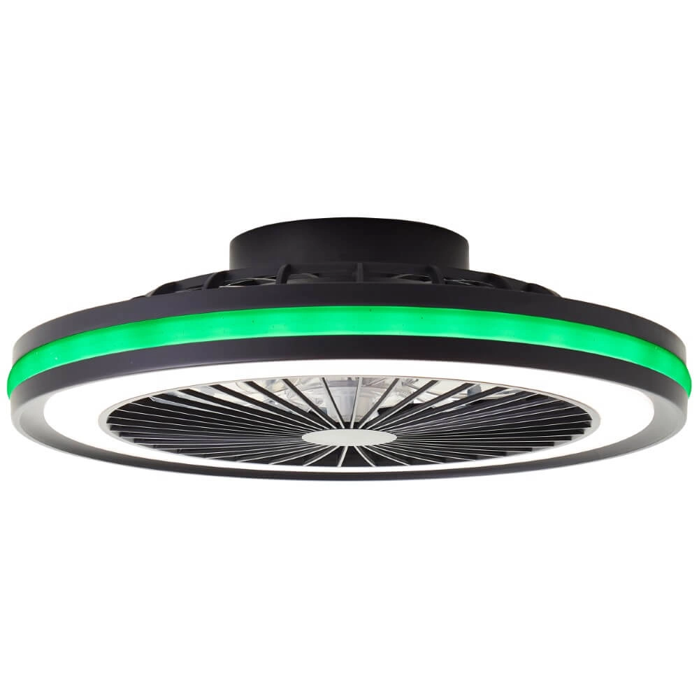 Ventilateur de plafond Palmero avec fonction RVB Brilliant 4004353425189