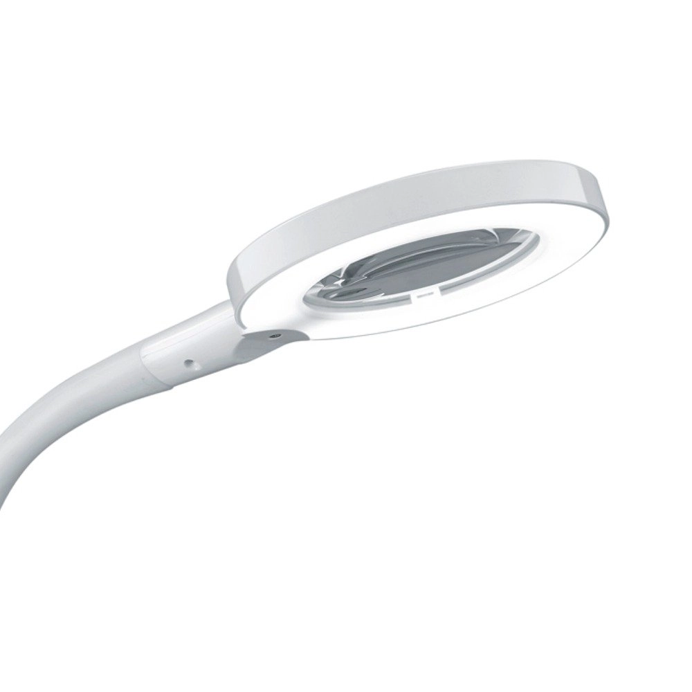 Lampe de bureau LED Lupo blanc Trio 4017807291438