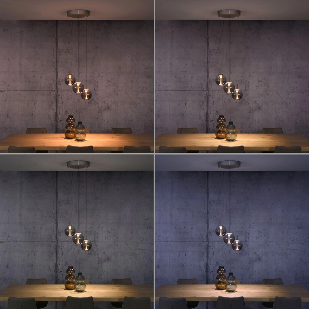 Lampe pendante Vide Pure E-Infinty Bronce avec verre ambré Paul Neuhaus 4012248398166