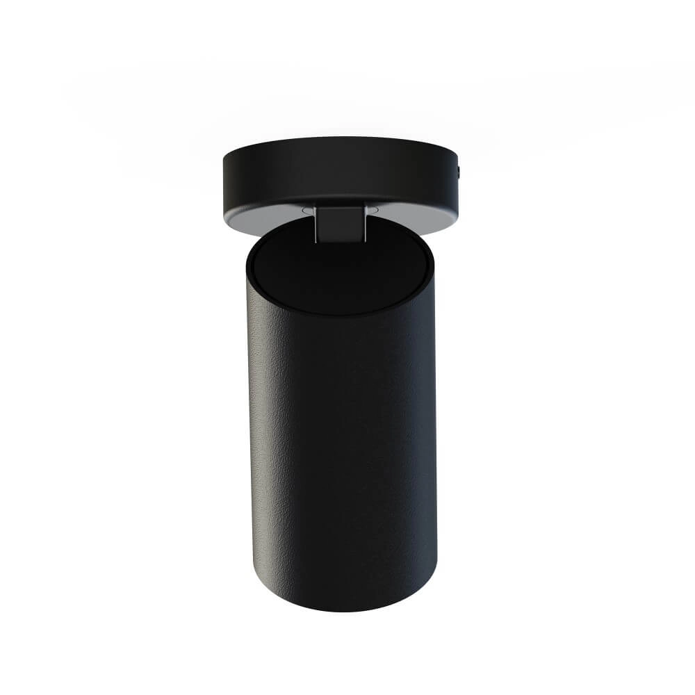 Spot en saillie inclinable Mono noir avec de l'or Lyora 5903139776394