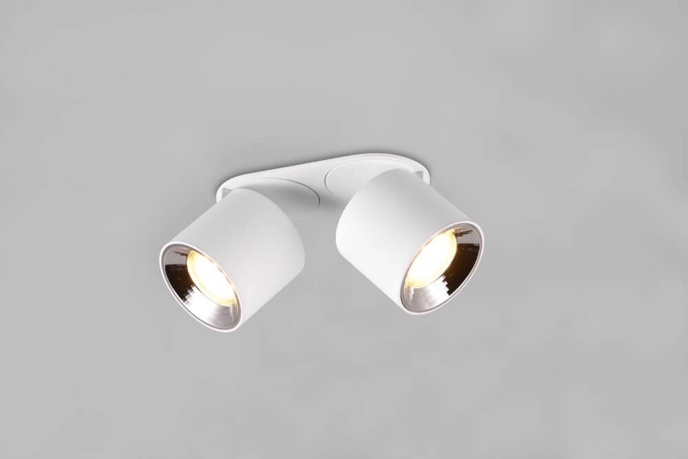 Plafonnier Guayana 2 lumières blanc Trio 4017807573954