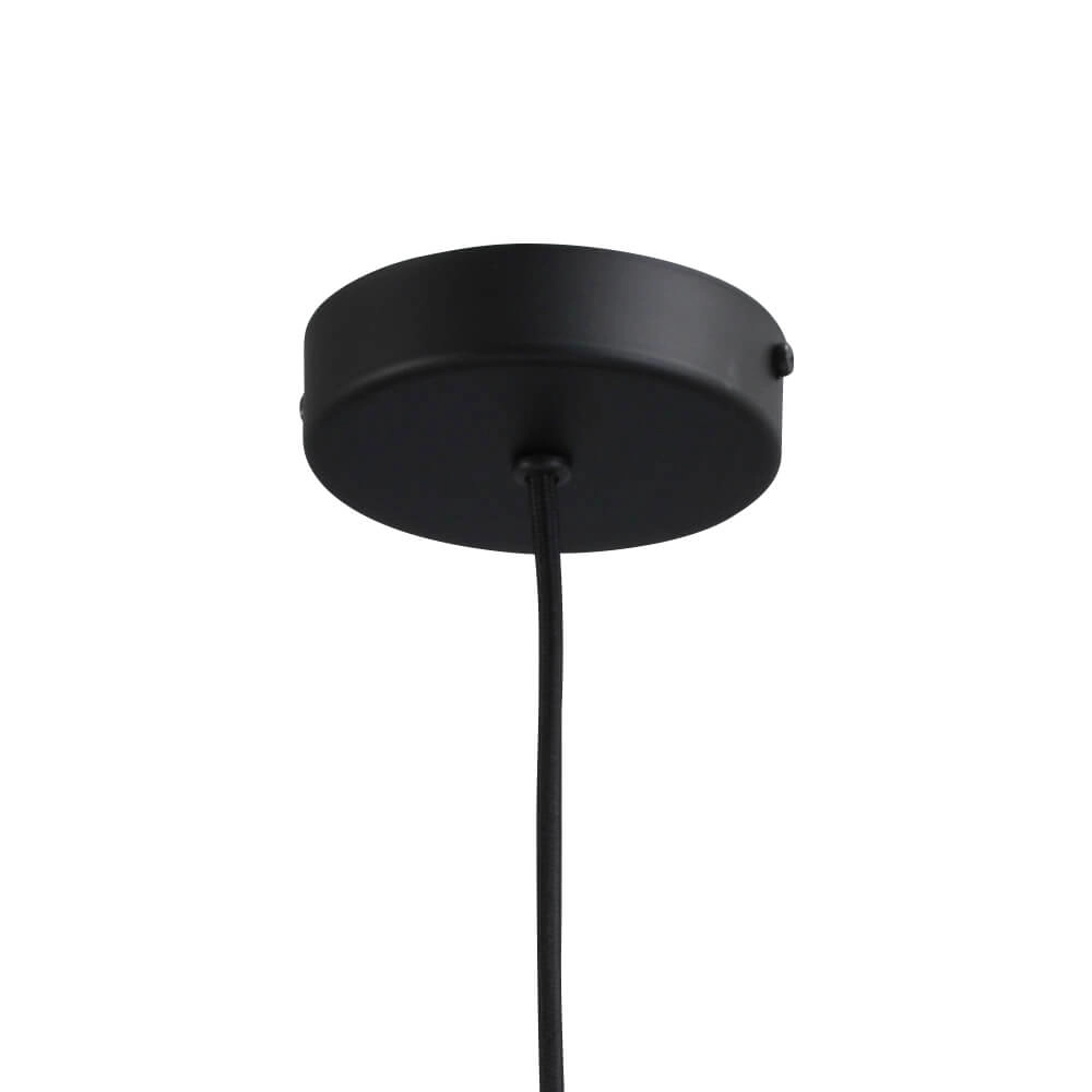 Lampe suspendue Lazise Ø 15cm noir Masterlight 8718121303444