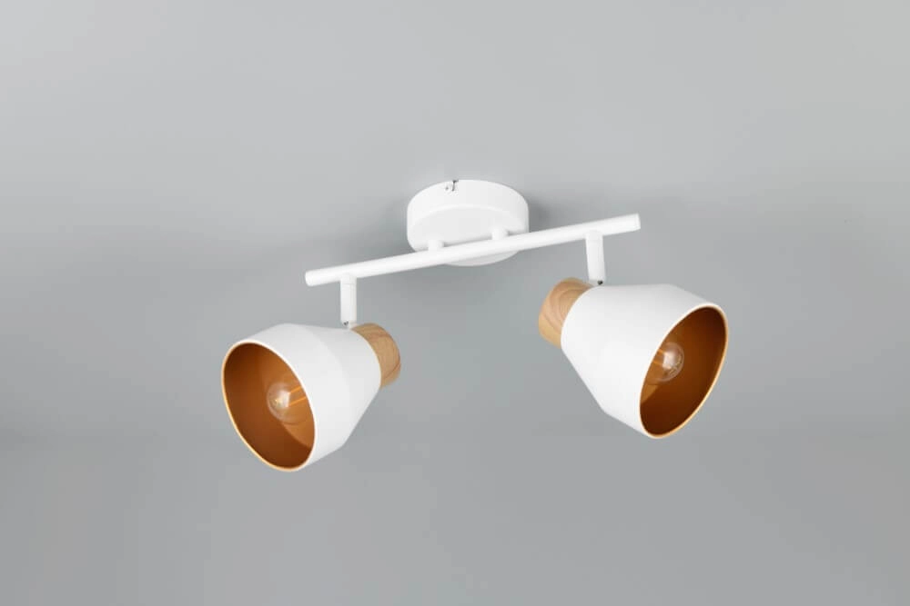 Plafonnier design 2 lumières Valentin blanc Trio 4017807637427