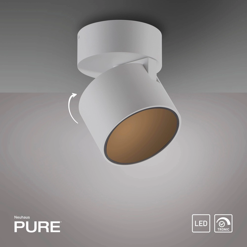 Spot lisse monté en surface Pure Cup Blanche-Neige Paul Neuhaus 4012248395578