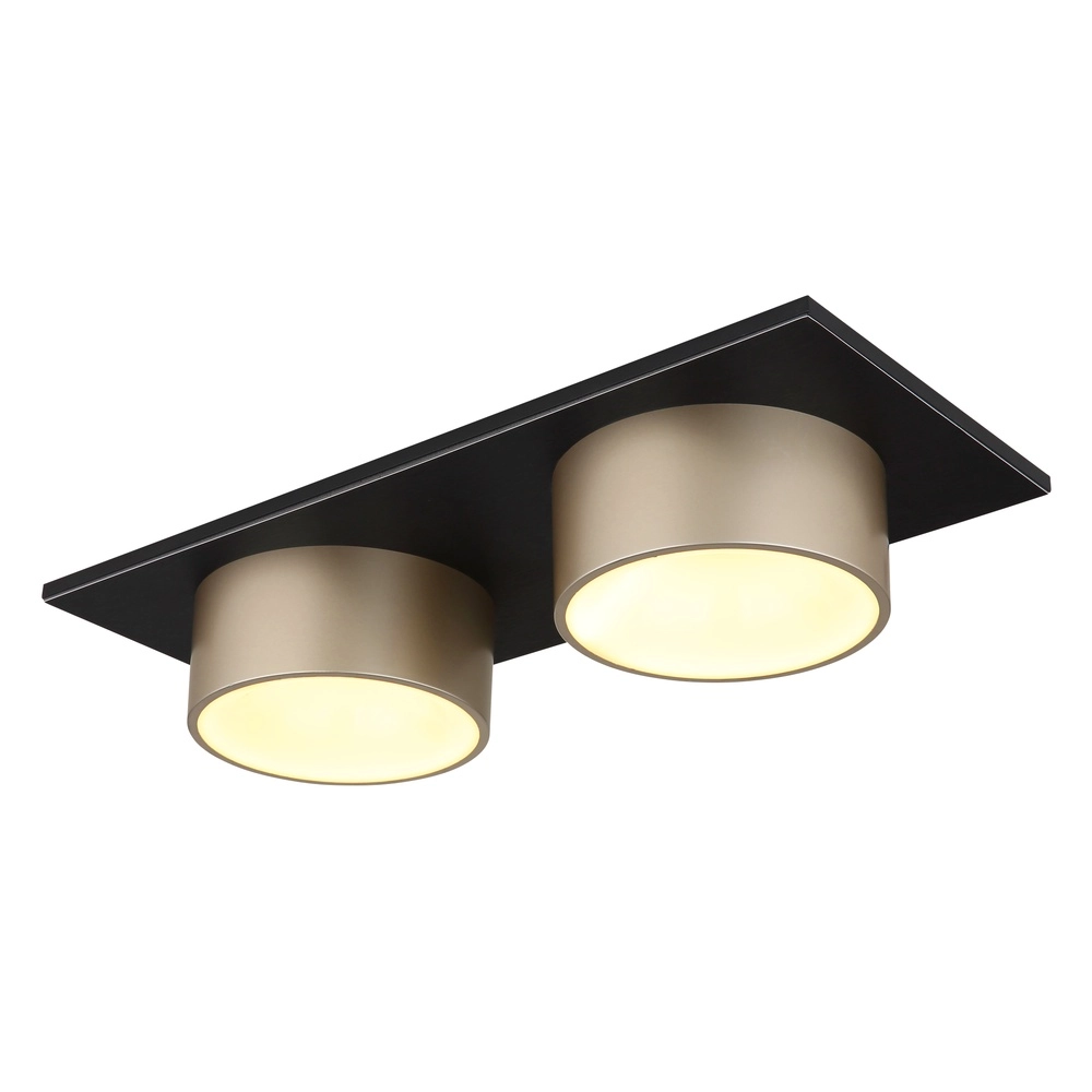 Lampe de plafond à deux lumières Raymond noir avec du champagne