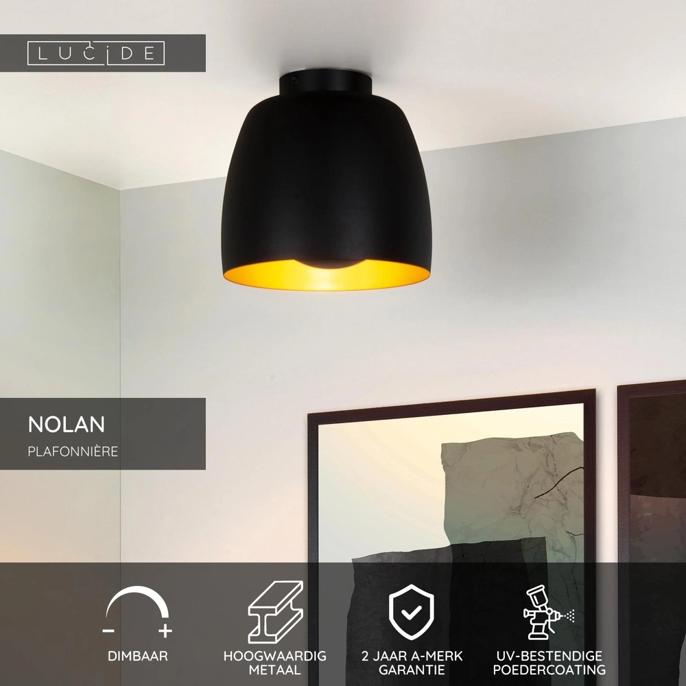 Lampe de plafond Nolan Ø 24cm noir Lucide 5411212302854