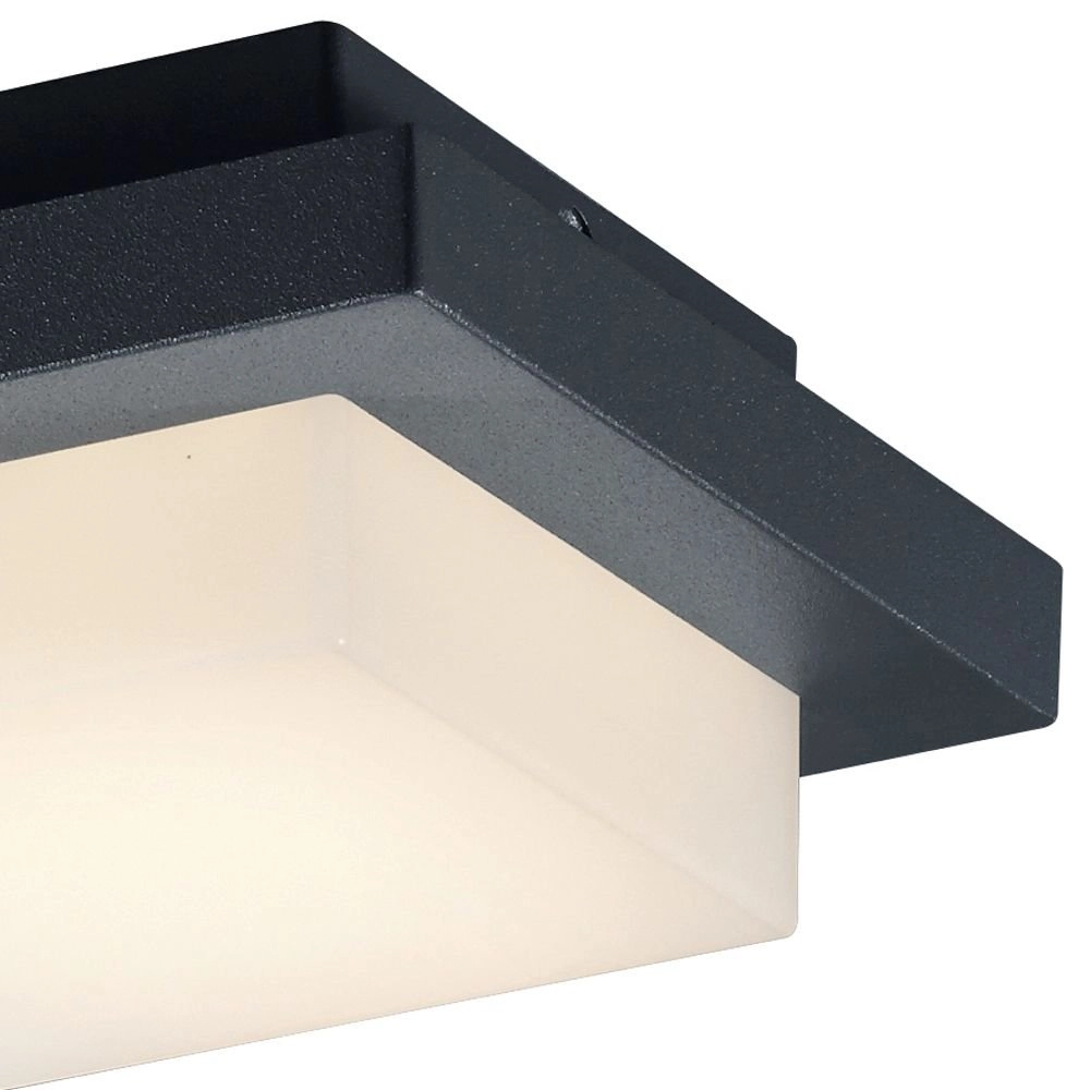 LED porche lumière Hondo 14 cm anthracite Trio 4017807259131