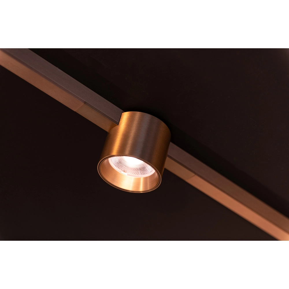 Spot sur piste monophasée Linial Lux Champagne Premium by Lucide 5411212552310