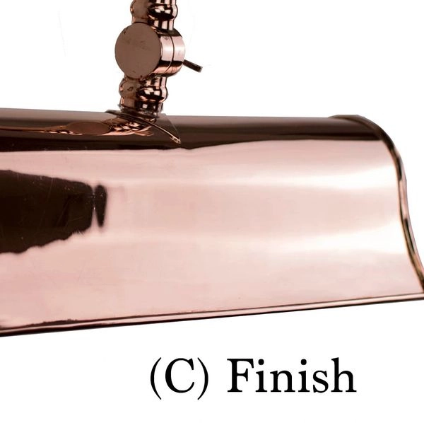 Lampe de peinture rurale Blenheim Picture 33cm - or poli (pbul) Limehouse