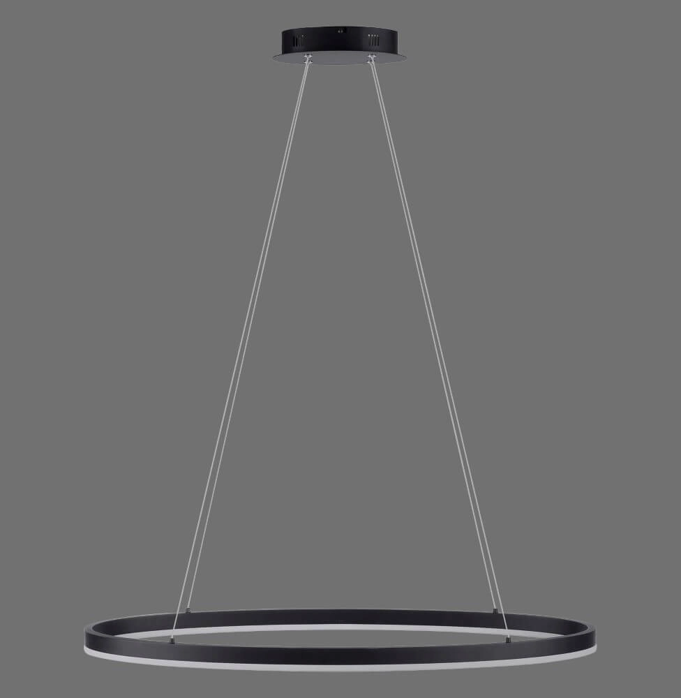 Lampe à suspension anthracite Titus Ø80cm Paul Neuhaus 4012248375211