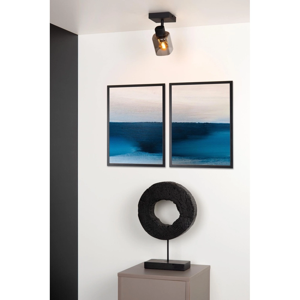 Lampe de plafond Alion Noir simple avec verre fumé Lucide 5411212176981
