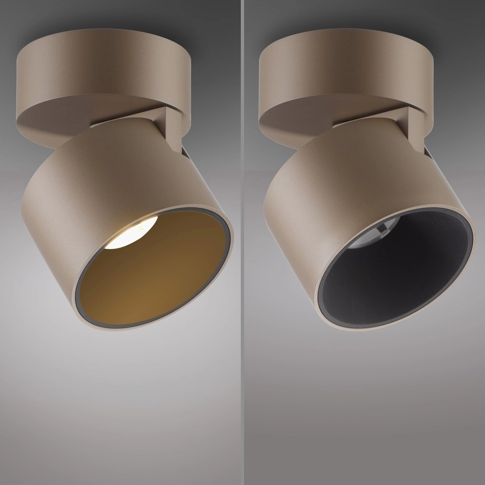 Spot lisse monté en surface Pure Cup Bronce Paul Neuhaus 4012248395592