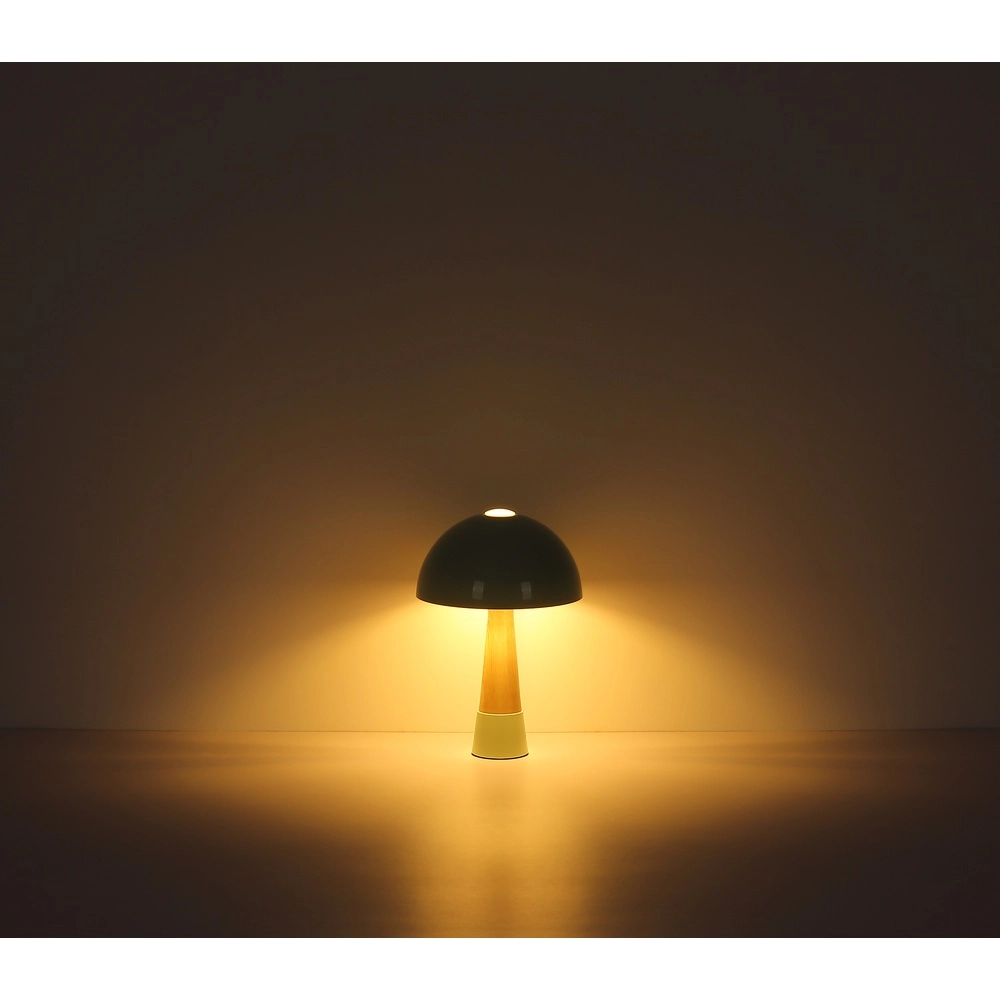 Lampe de table unique Paulin Ø 25cm vert Globo 9007371513802
