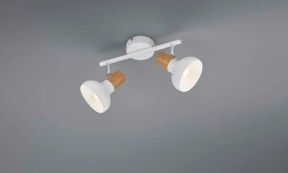 Plafonnier Latika 2 lumières blanc Trio 4017807577020