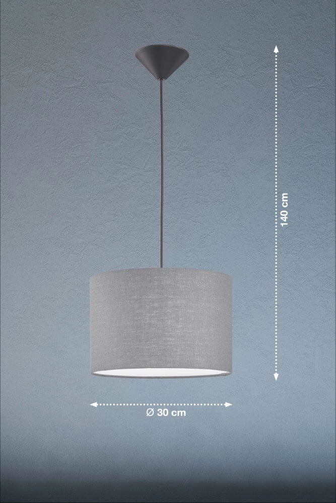 Lampe suspendue Vigo capuche grise Fischer & Honsel 4003694608077