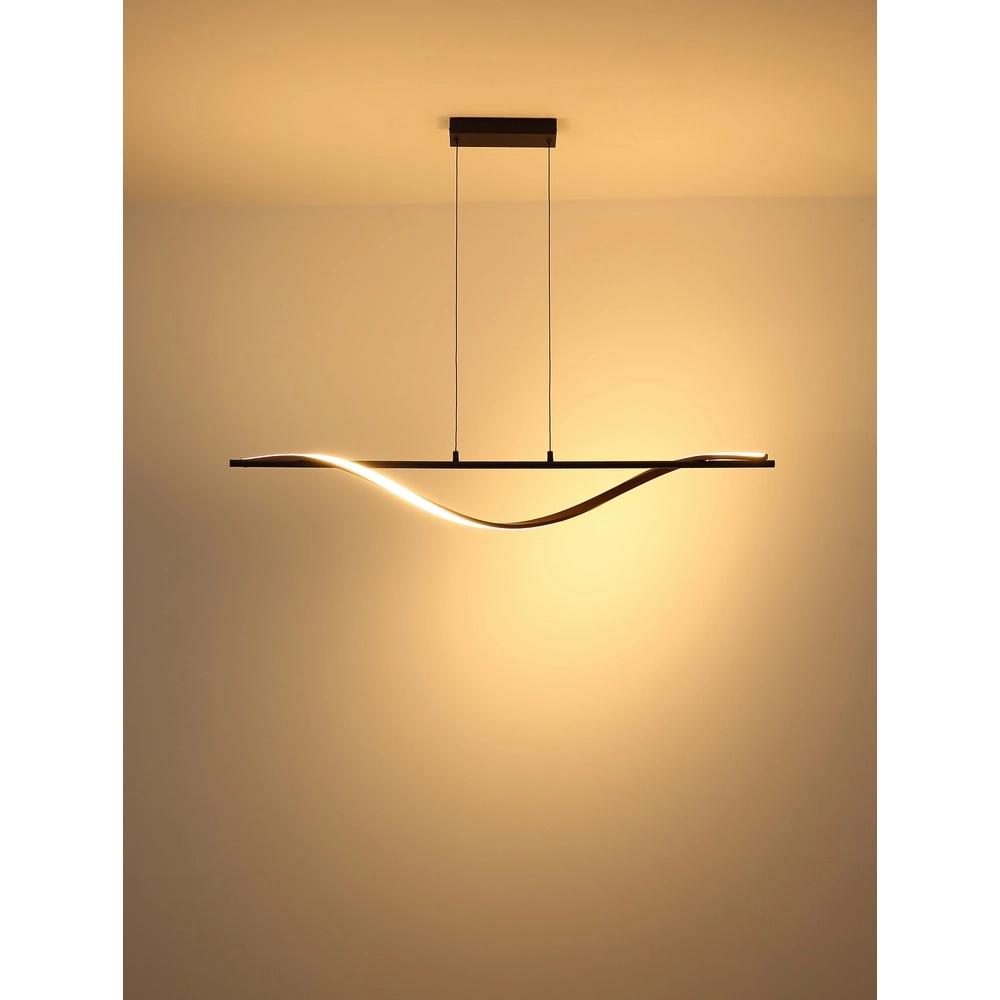 Lampe pendante de conception Watkins Noir Globo 9007371533749