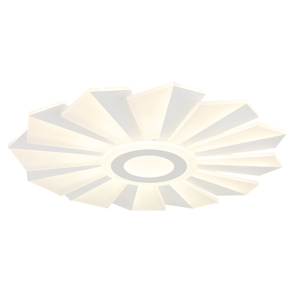 Conception de plafonds Alwina Blanc