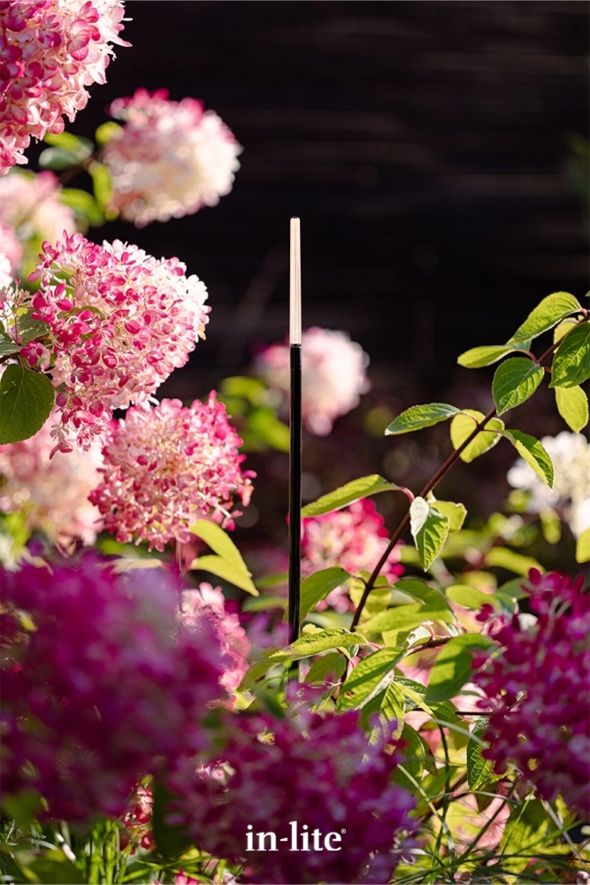 Lampe 12 volts BREEZE In-lite 8717051007897