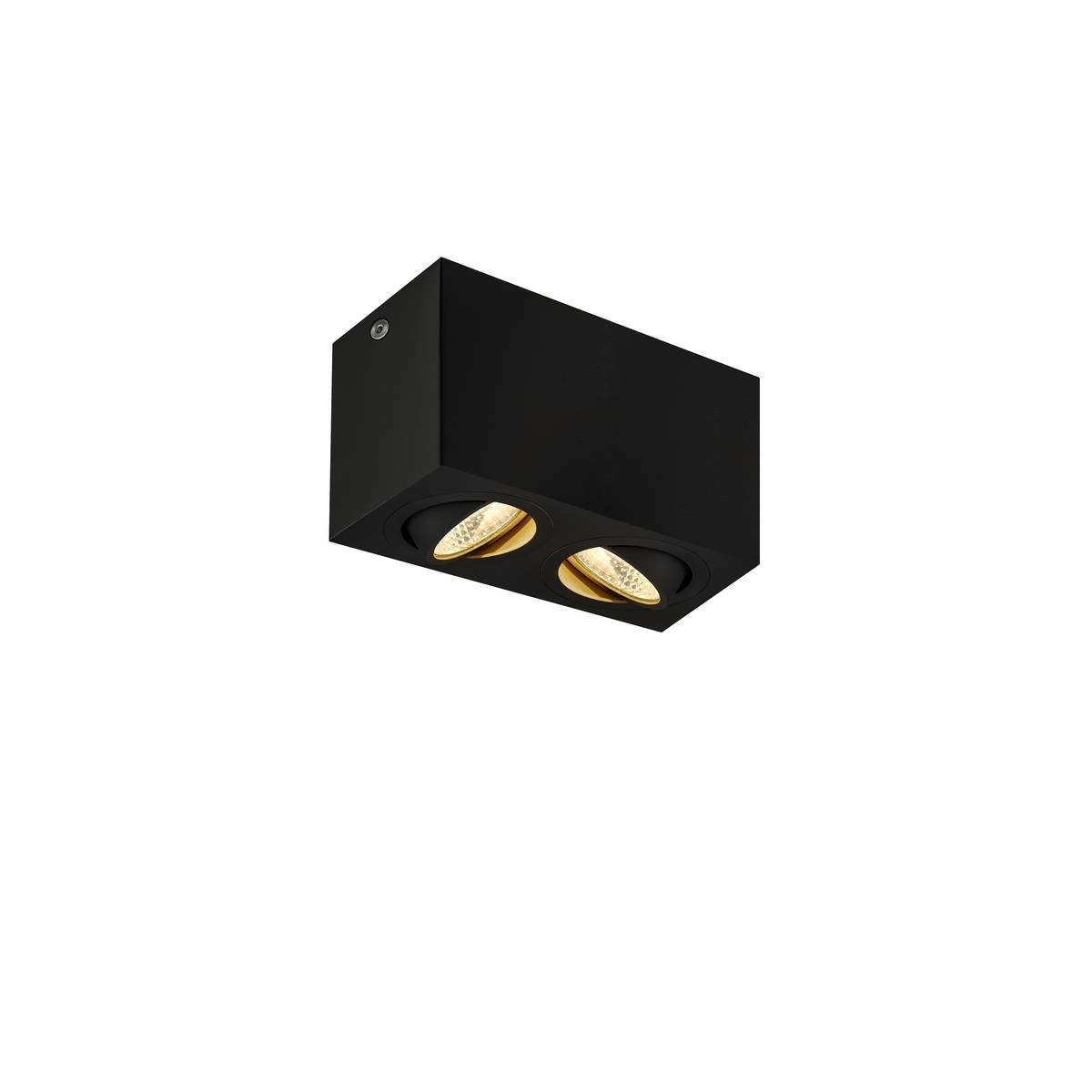 Lampe de plafond Triledo 2 lumières 16cm 3000K noir