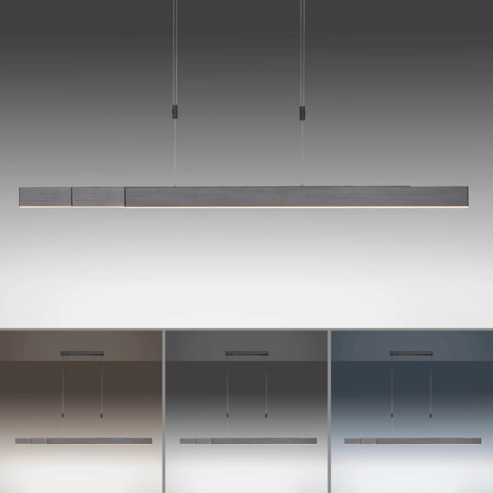 Lampe suspendue LED Pure-Moto anthracite brossé Paul Neuhaus 4012248363751