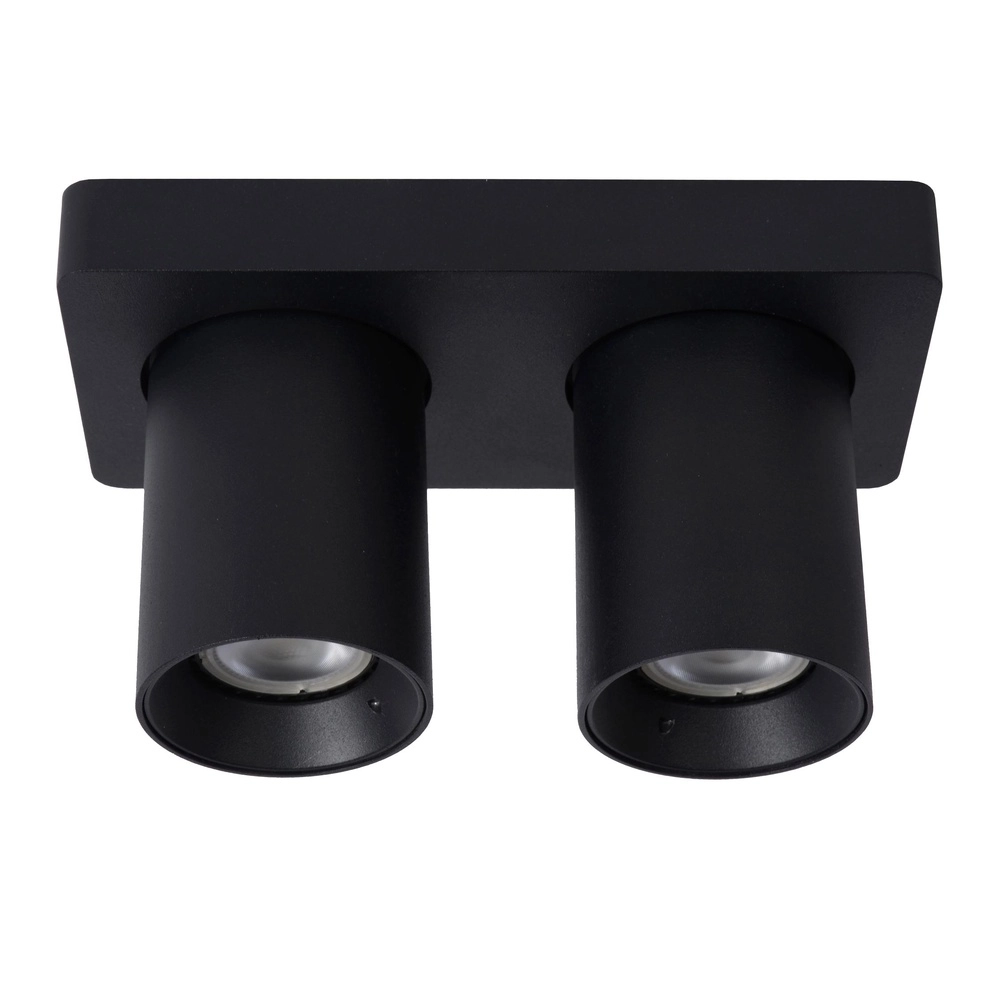 Projecteur de plafond Nigel 2-noir clair