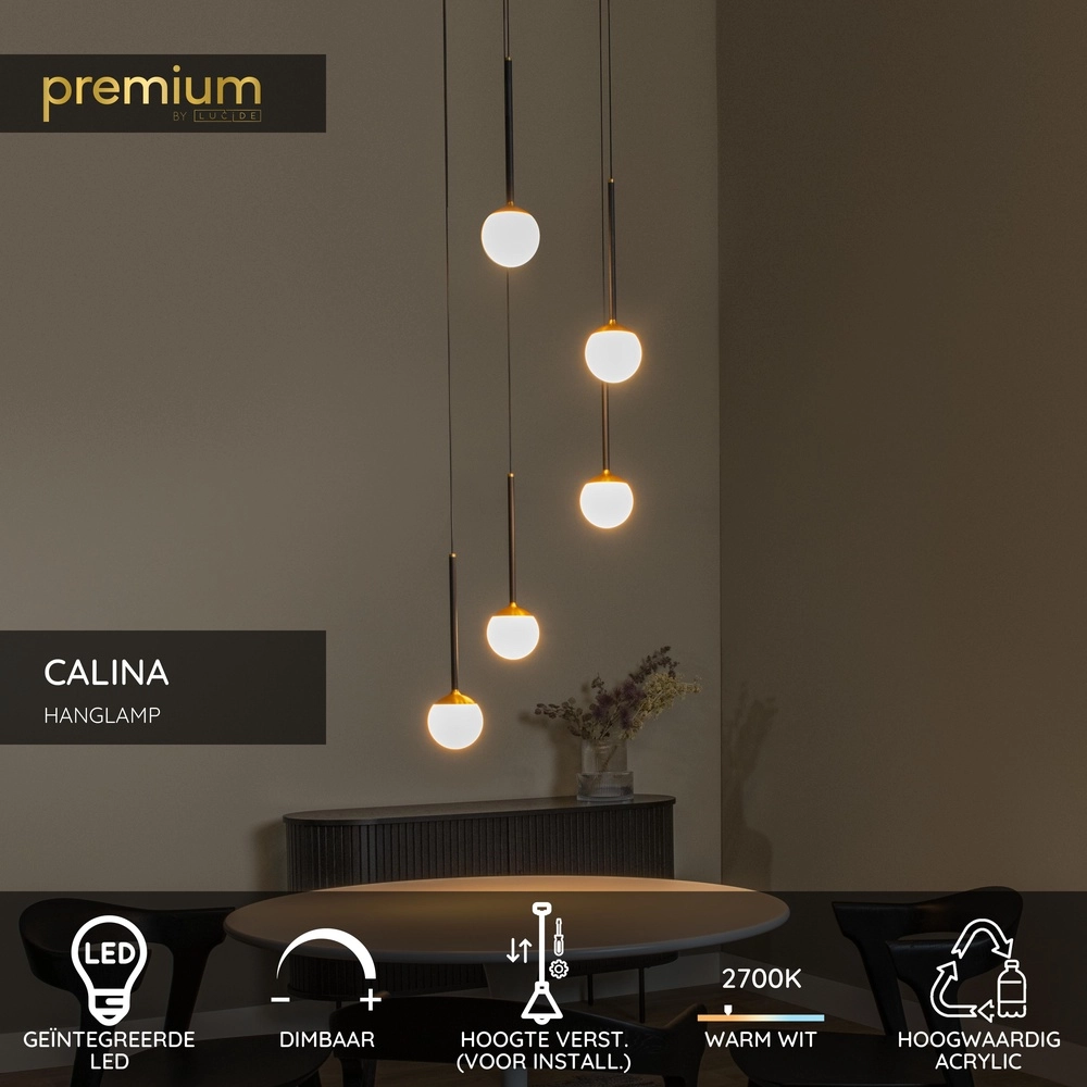 Lampe pendante Vide Calina 5 lumières avec sphères blanches Premium by Lucide 5411212241979