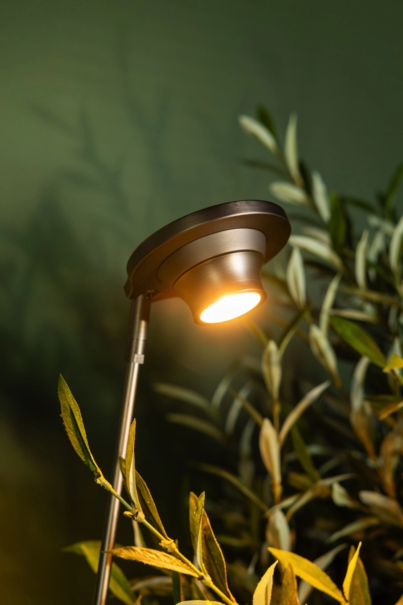 Moderne à deux lumières Angelique Nickel noir ETH 8720195310877