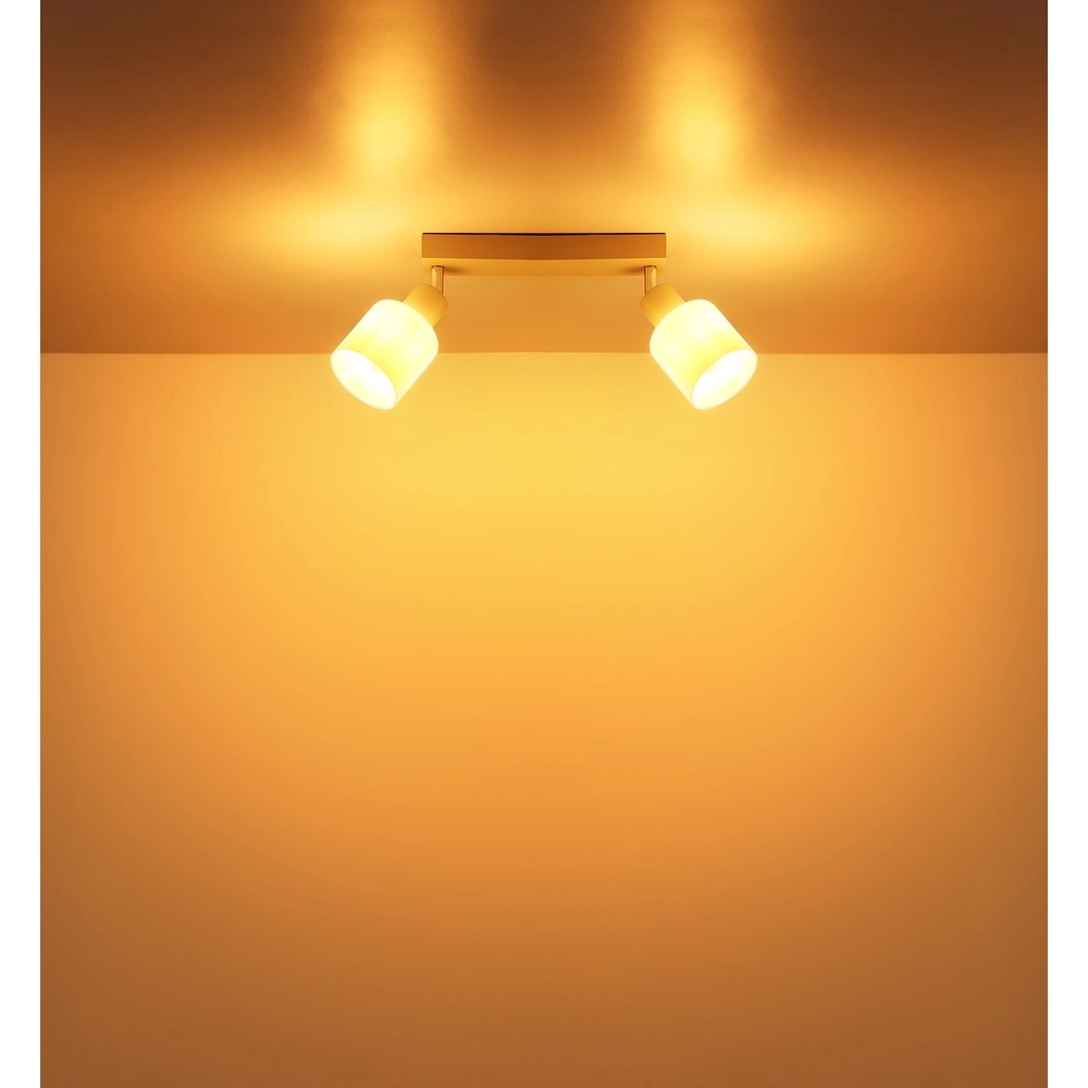 Spot de plafond à 2 lumières Trent brun sable Globo 9007371575961