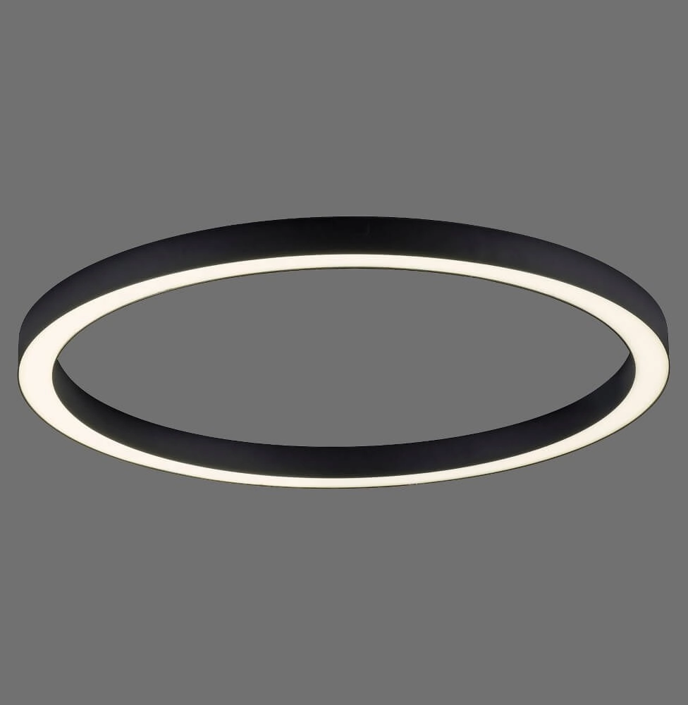 Lampadaire rond Pure Lines Round Ø 70 cm anthracite Paul Neuhaus 4012248373521