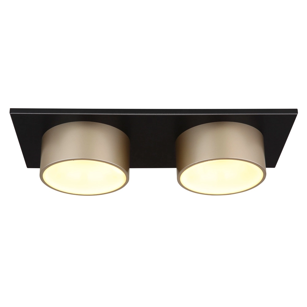 Lampe de plafond à deux lumières Raymond noir avec du champagne Globo 9007371522873
