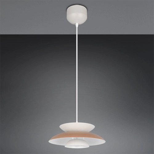 Conception de la lampe suspendue Amarila marron moka Ø 40cm Trio 4017807682779
