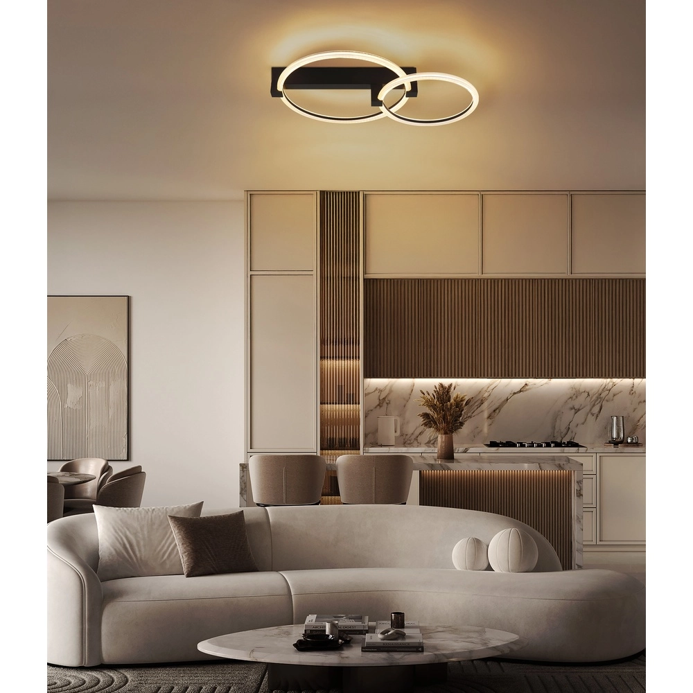 Lampe de plafond noire Fletcher Conception Globo 9007371589289