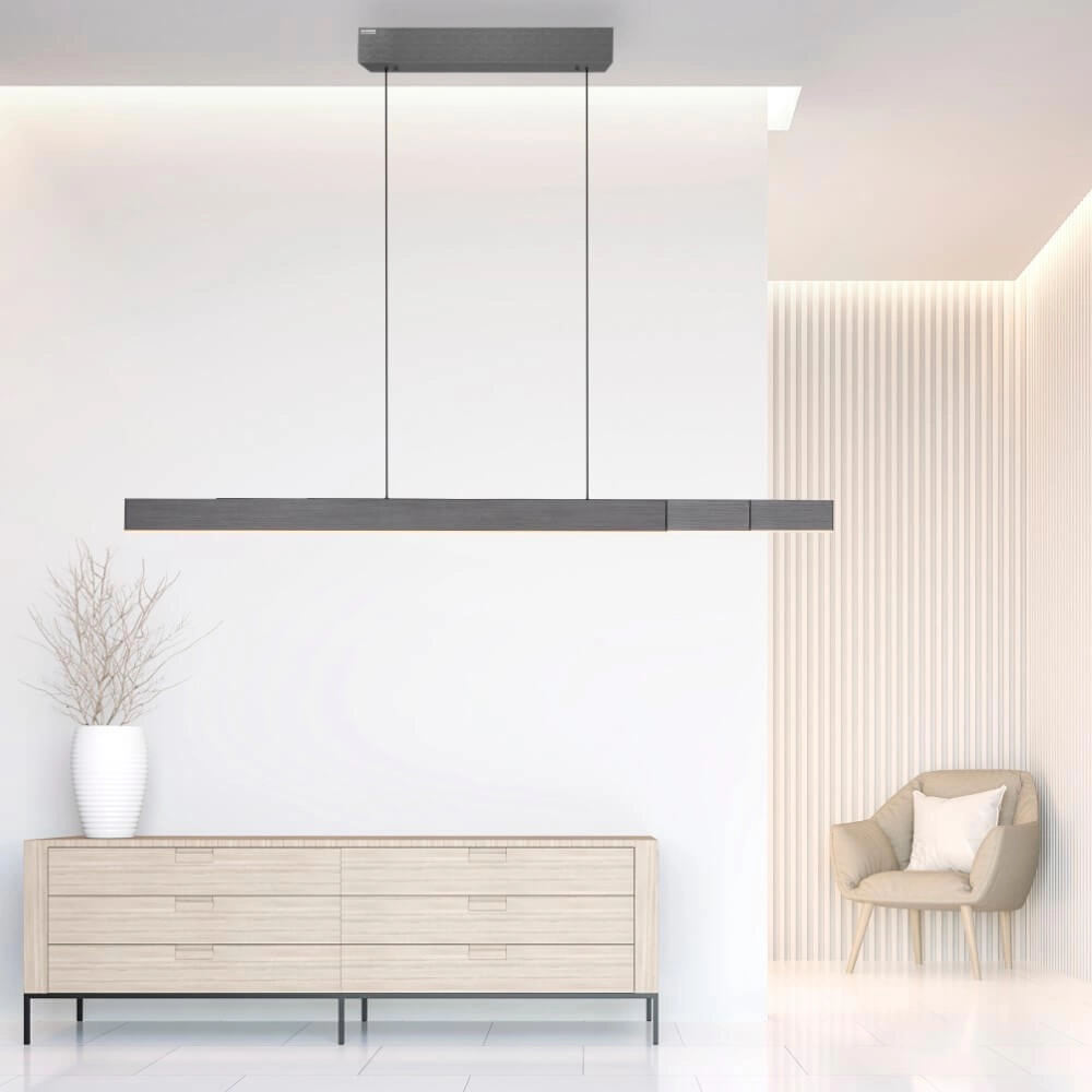 Lampe suspendue design Pure Moto-Rise gris Paul Neuhaus 4012248366653