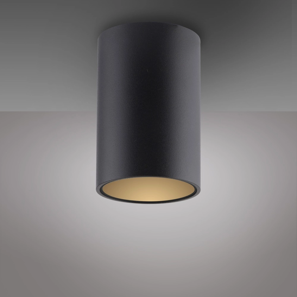 Emplacement monté en surface au plafond Pure Point Ø 6 cm - perle noire Paul Neuhaus 4012248395677