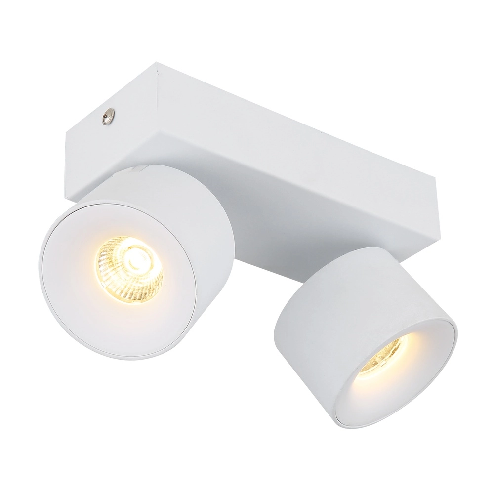 Lampe de plafond élégante Rae Blanc à deux lumières