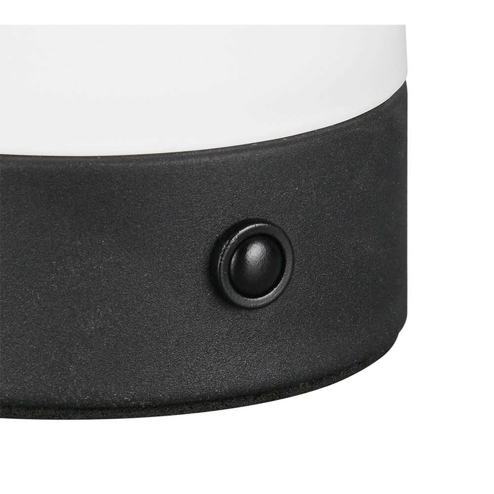 Lampe de table Dooley rechargeable avec verre blanc Trio 4017807643121