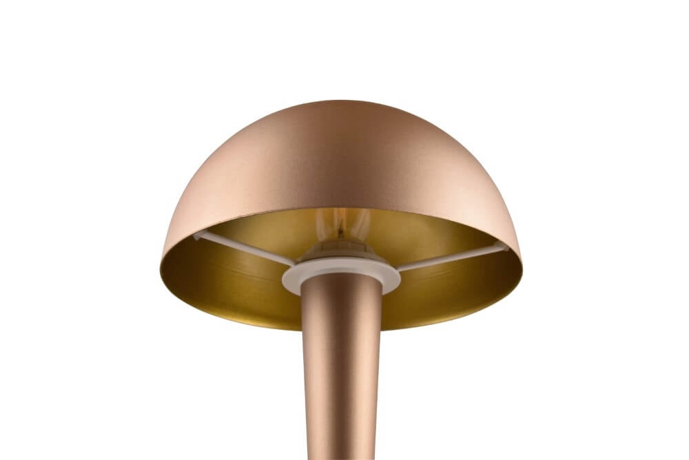Lampe de table marron Canaria conception Trio 4017807574951